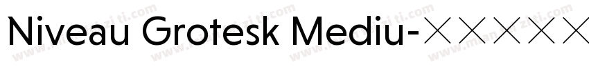 Niveau Grotesk Mediu字体转换